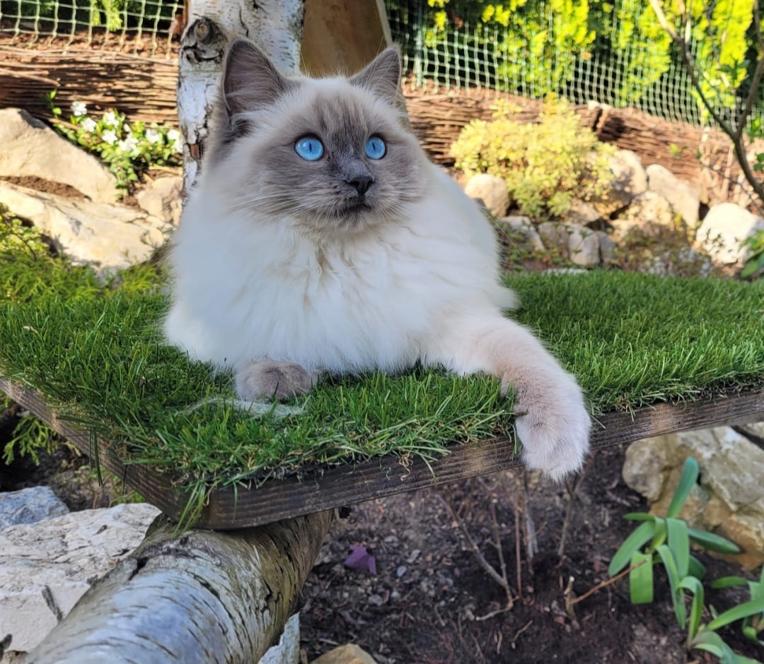 whatsapp image 2026 03 10 at 00.10.41